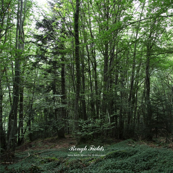 Steve Reich: Music for 18 Musicians (Rough Fields Overdubbed Version) album cover