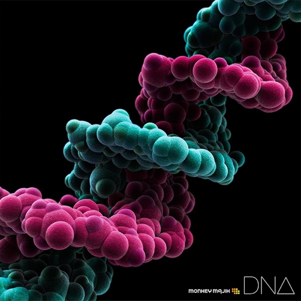 DNA album cover