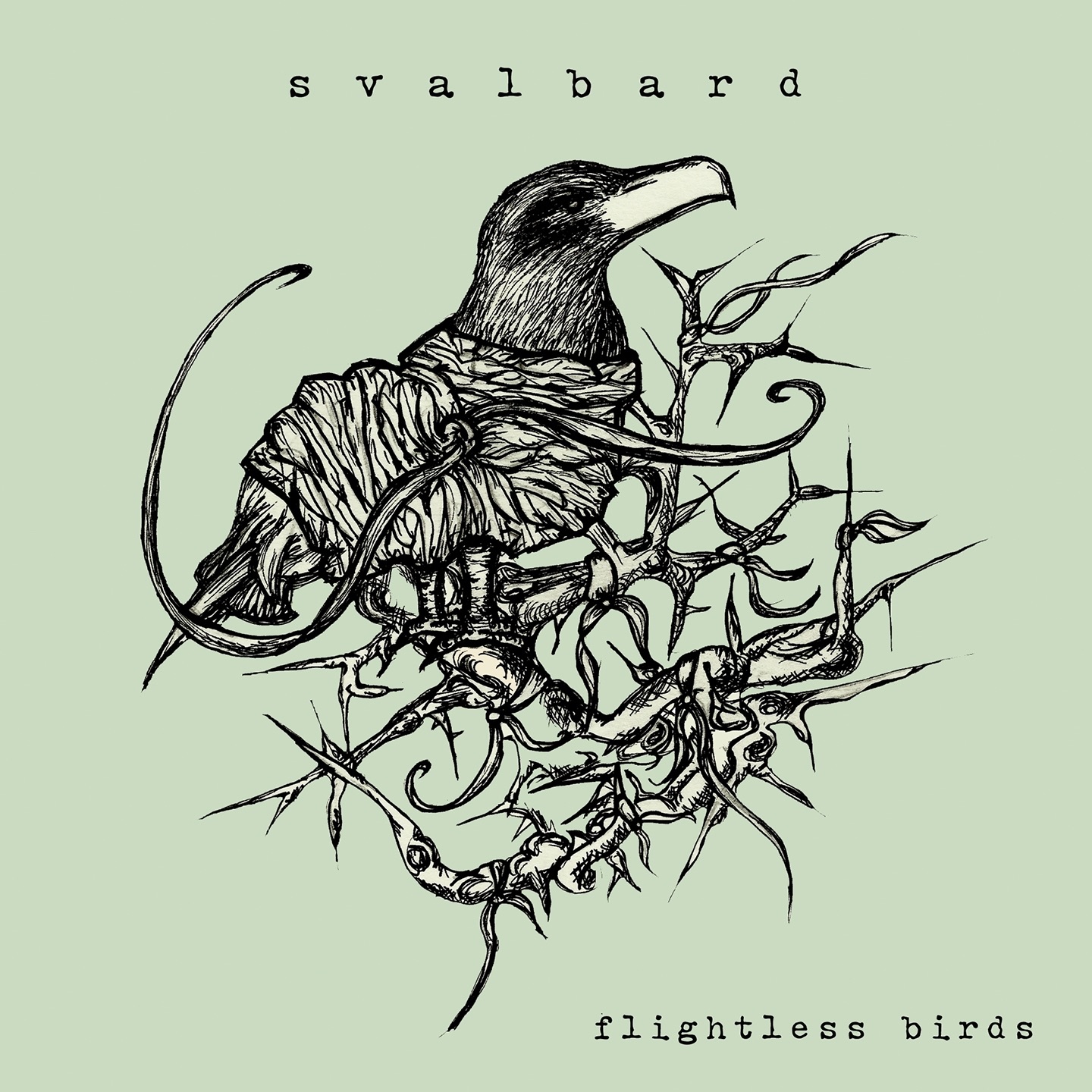 Flightless Birds - Single album cover