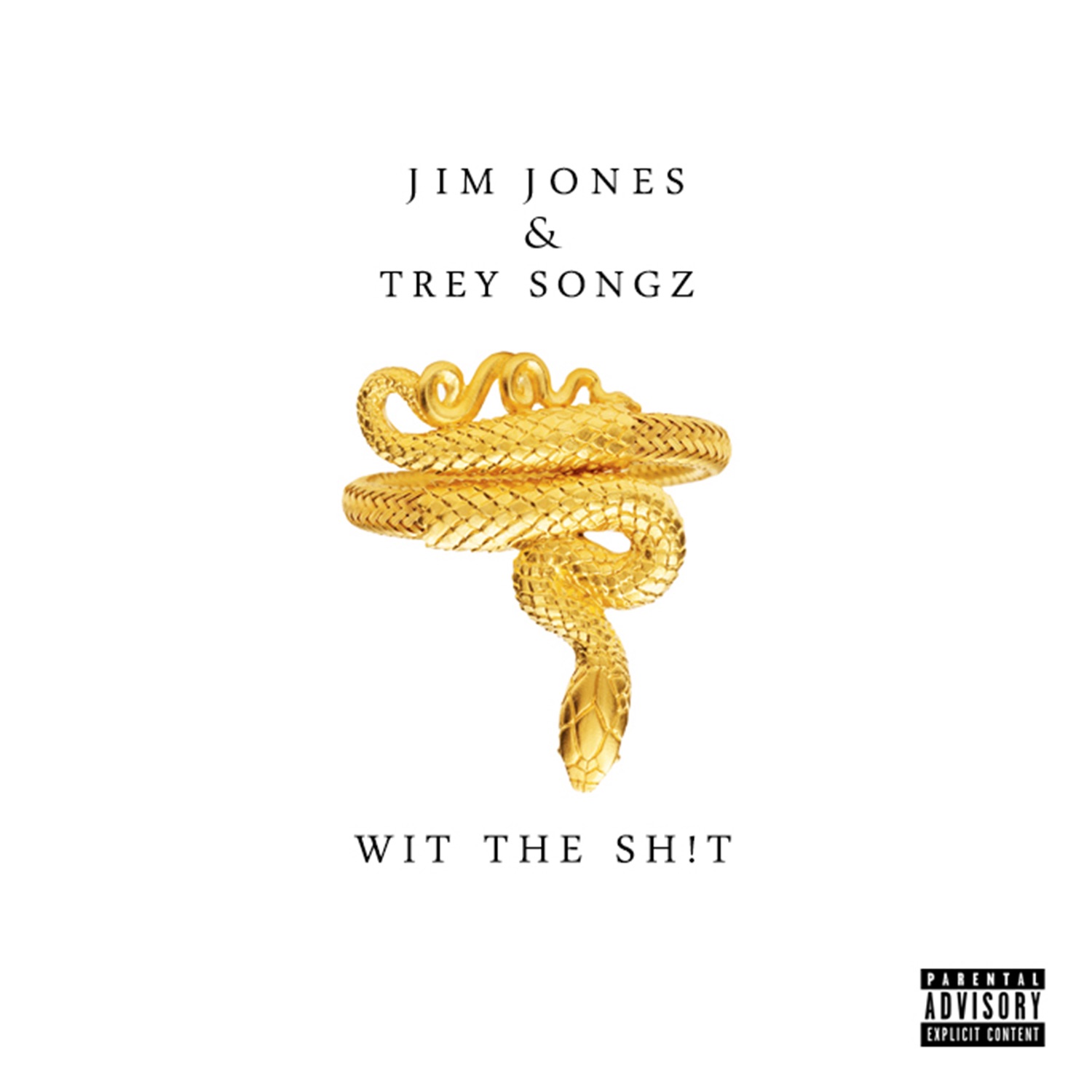 Wit the Sh!t (feat. Trey Songz) - Single album cover