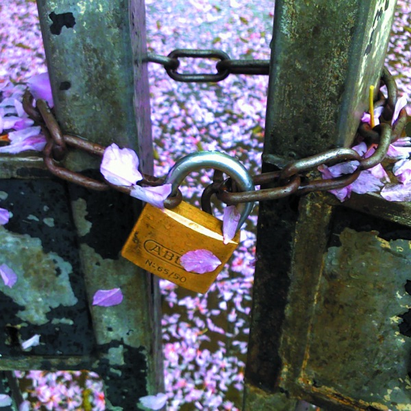 Snow & Taxis - Single album cover