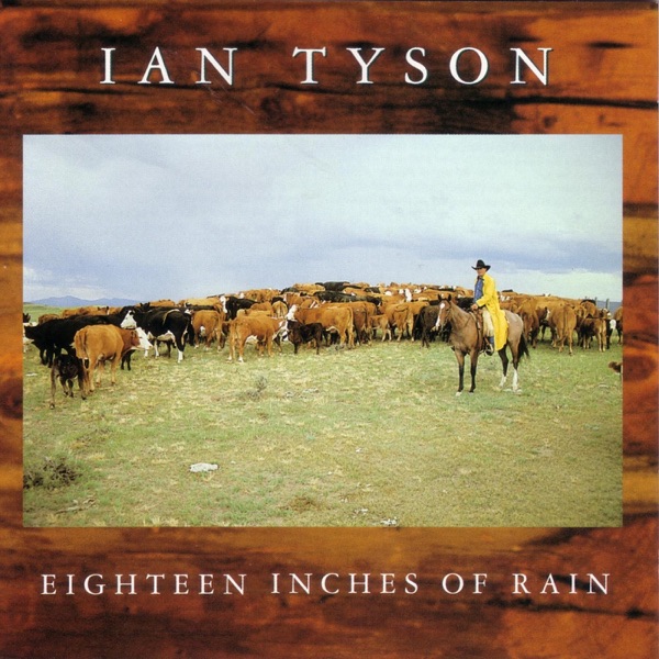 Eighteen Inches of Rain album cover