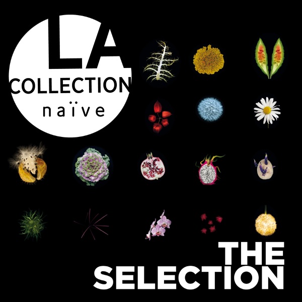 La collection naïve: The Selection album cover