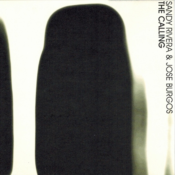 The Calling album cover