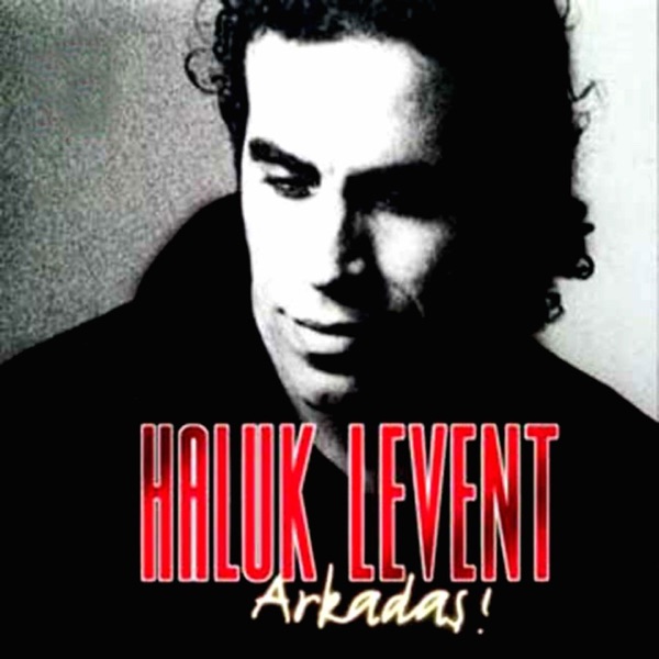 Arkadaş album cover