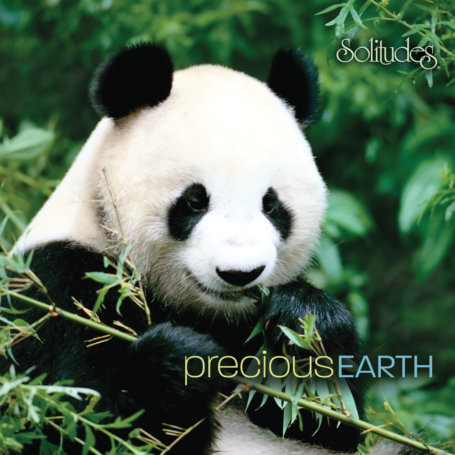 Precious Earth album cover