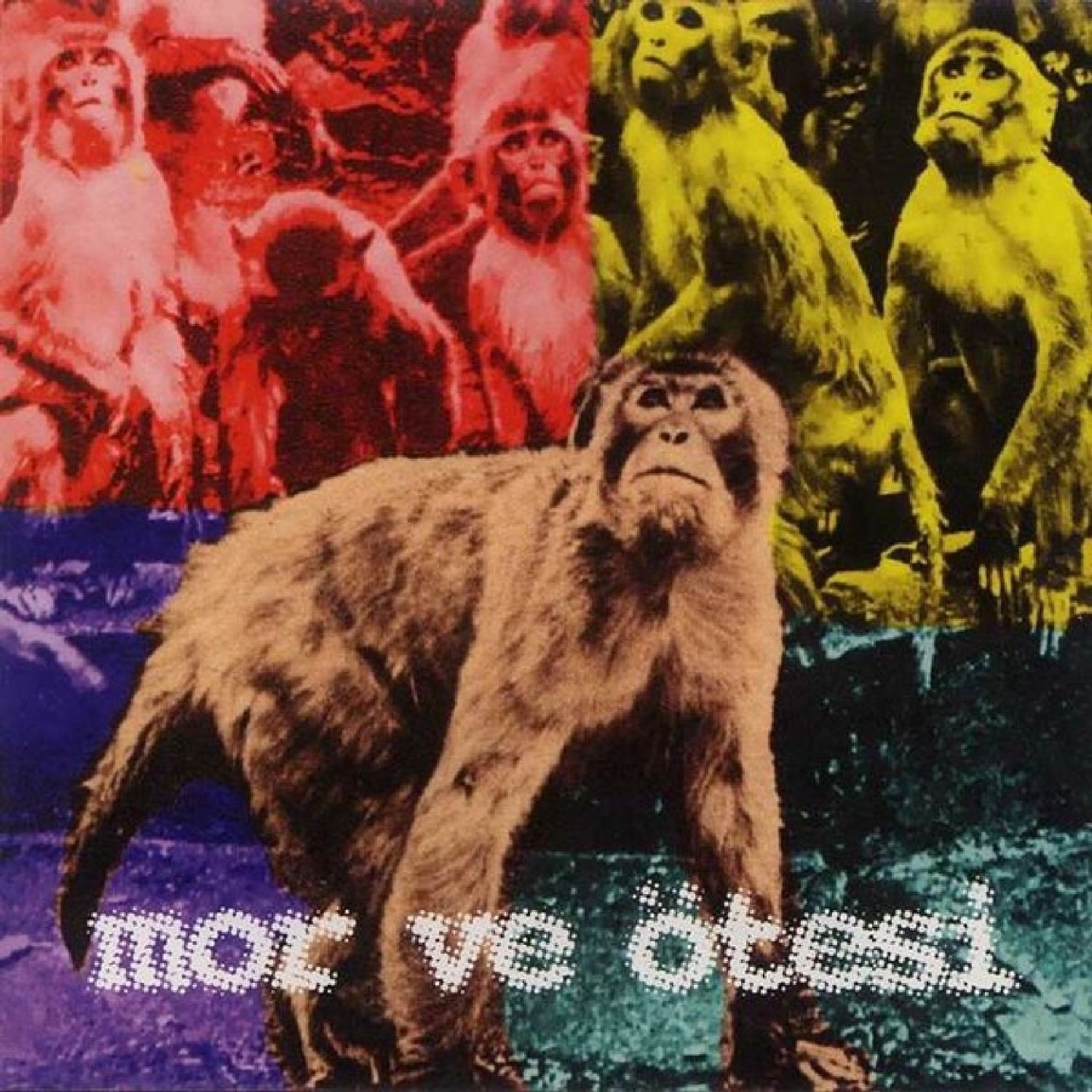 Bırak Zaman Aksın album cover