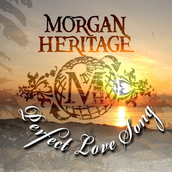 Perfect Love Song - Single album cover
