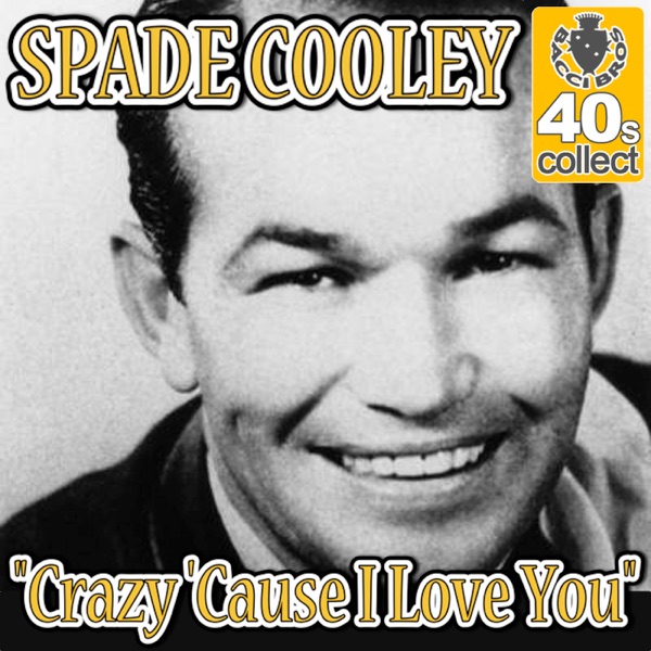 Crazy 'Cause I Love You (Remastered) - Single album cover