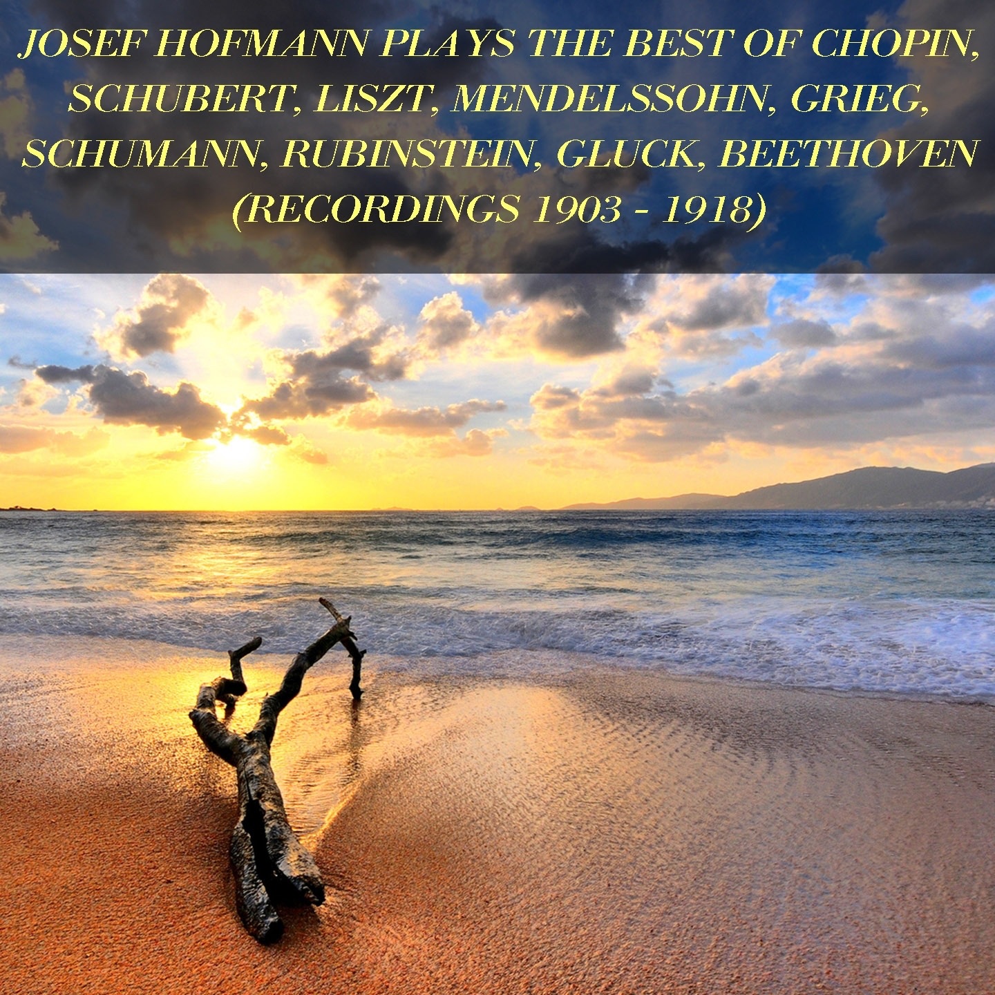 Josef Hofmann Plays the Best of Chopin, Schubert, Liszt, Mendelssohn, Grieg, Schumann, Rubinstein, G album cover
