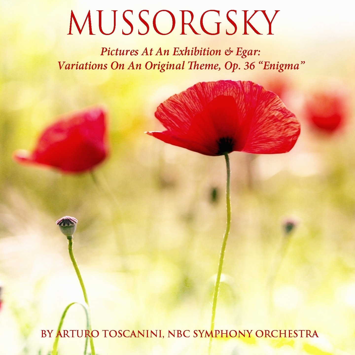 Mussorgsky: Pictures at an Exhibition - Elgar: Variations on an Original Theme, Op. 36 - "Enigma" album cover