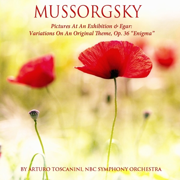 Mussorgsky: Pictures at an Exhibition - Elgar: Variations on an Original Theme, Op. 36 - "Enigma" album cover