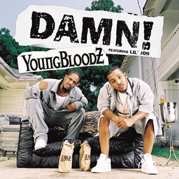 Damn! (feat. Lil' Jon) - Single album cover