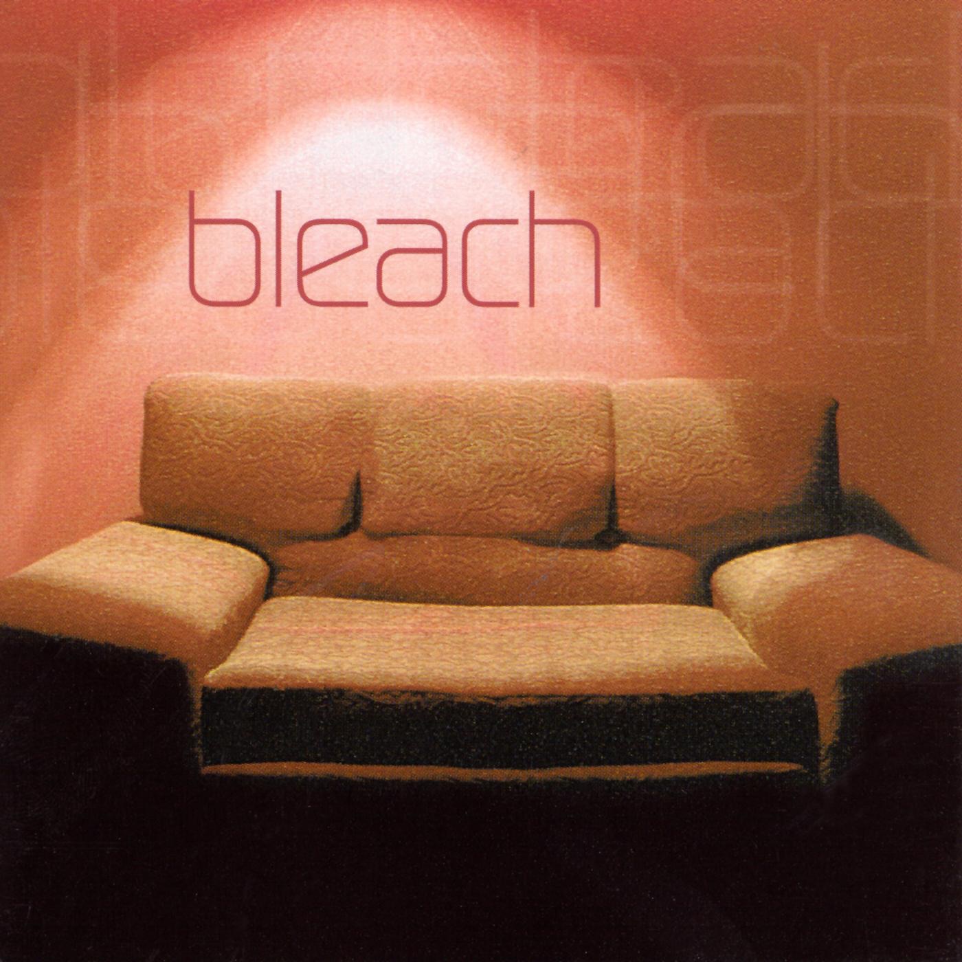 Bleach album cover
