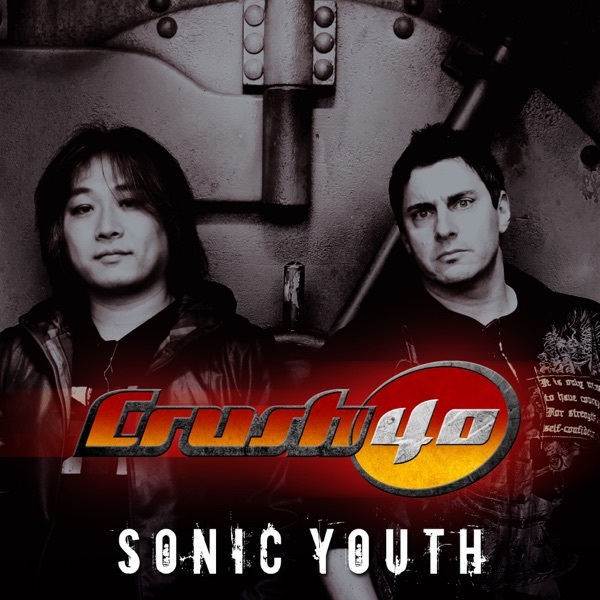 Sonic Youth - Single album cover