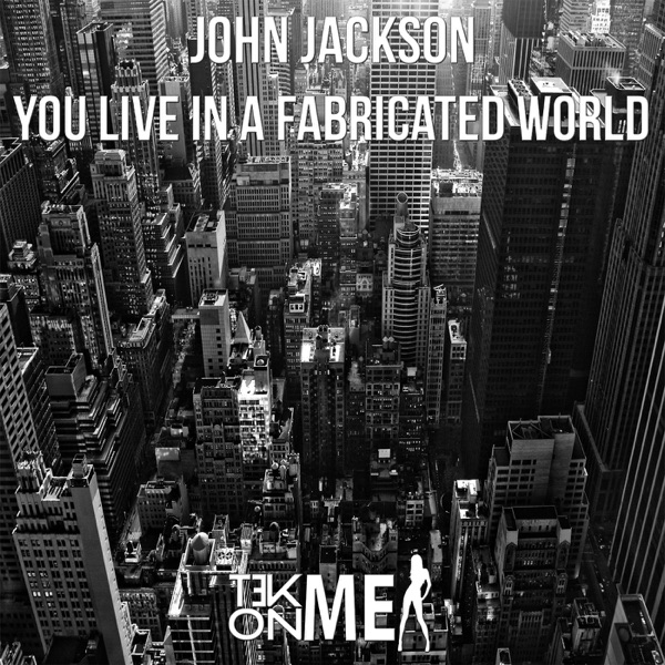 You Live In A Fabricated World - Single album cover