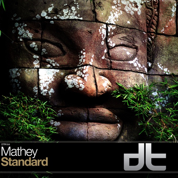 Standard - Single album cover