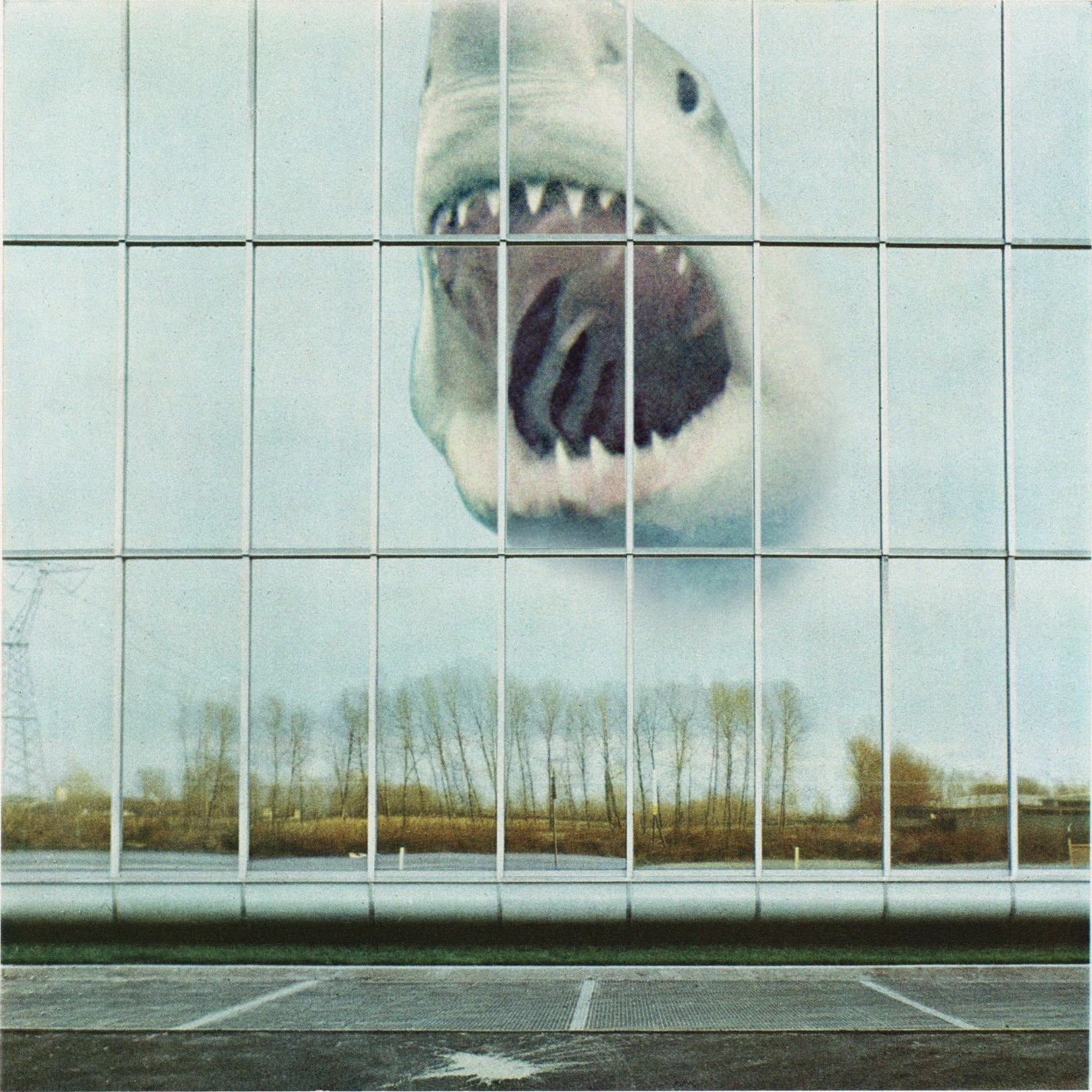 Wilderness Heart (Bonus Track Version) album cover