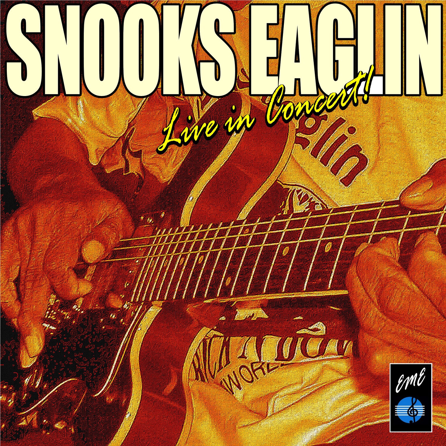 The Snooks Eaglin Live in Concert album cover