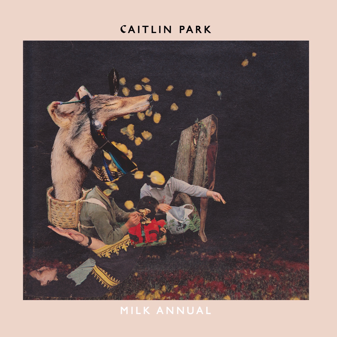 Milk Annual album cover