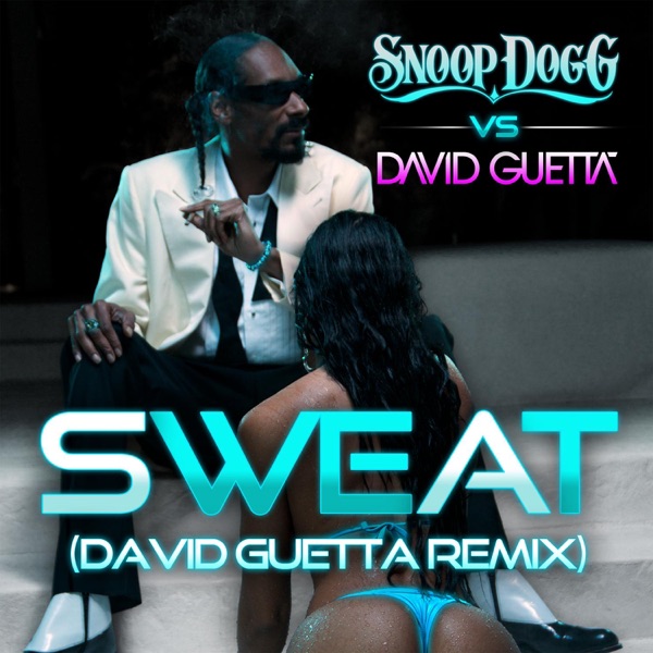 Sweat / Wet (Snoop Dogg vs. David Guetta) - Single album cover