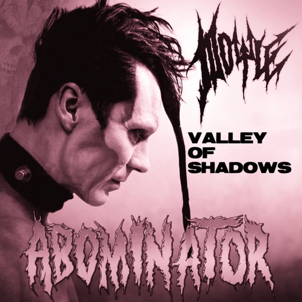 Valley of Shadows - Single album cover