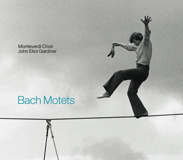 Bach: Motets album cover
