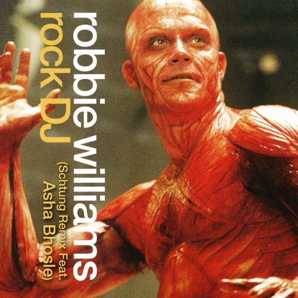 Rock DJ (Schtung Remix feat. Asha Bhosle) - Single album cover