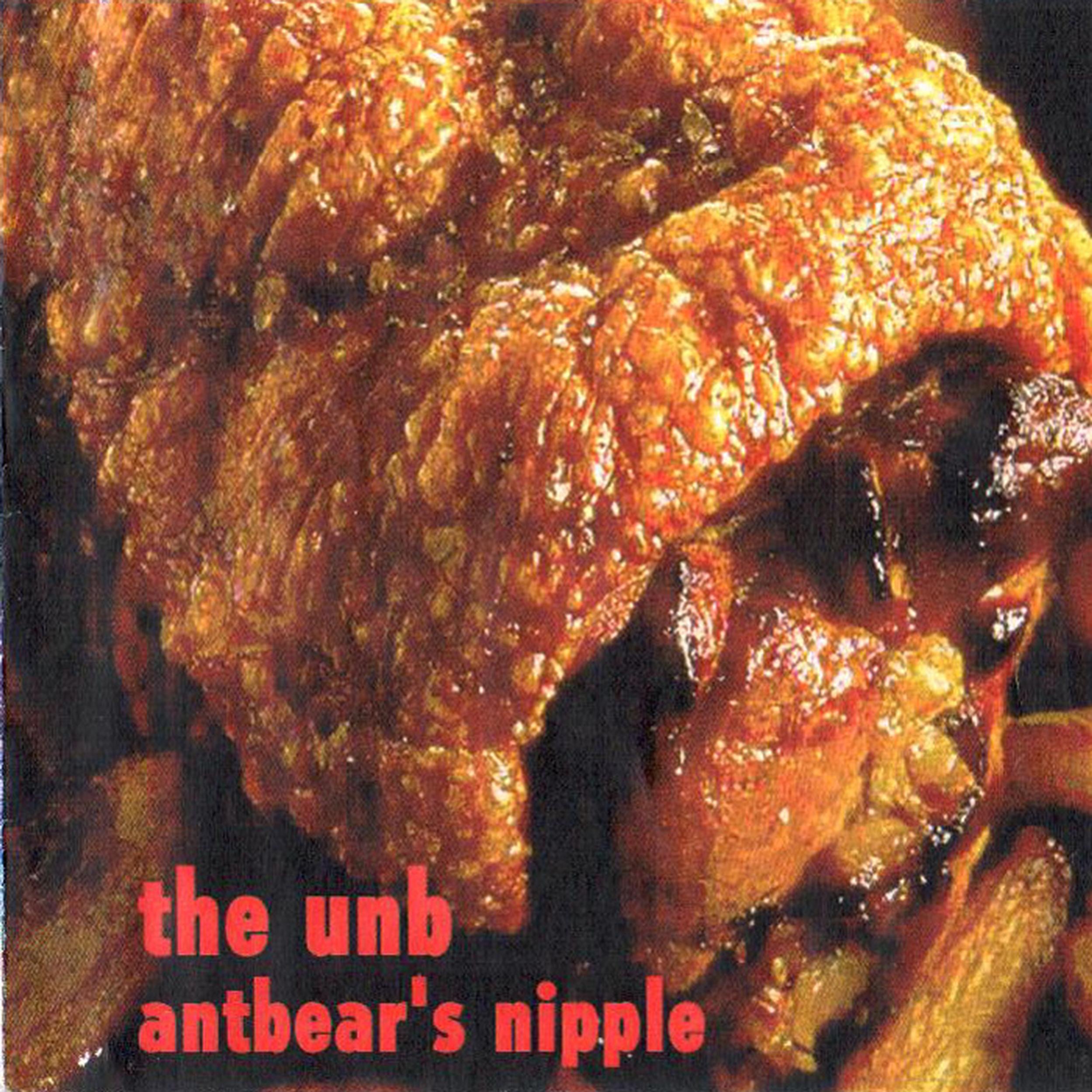 Antbear's Nipple album cover