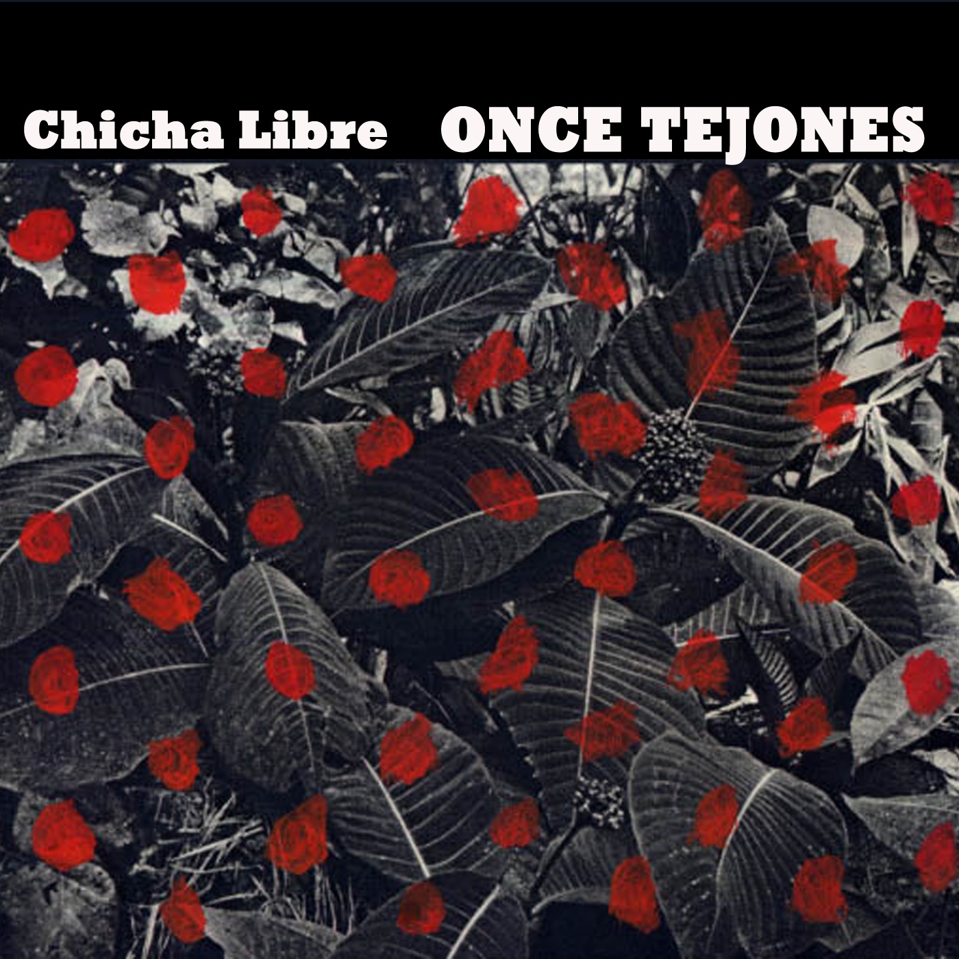 Once Tejones - Single album cover
