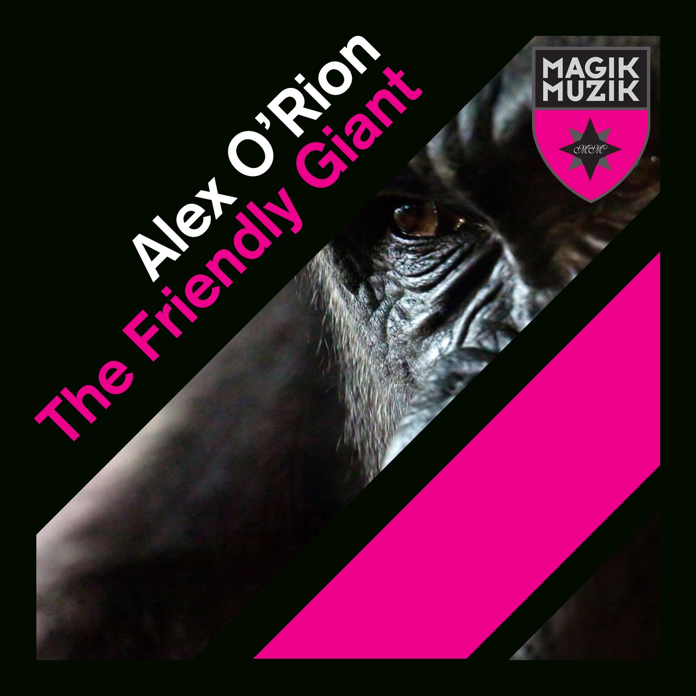 The Friendly Giant - EP album cover