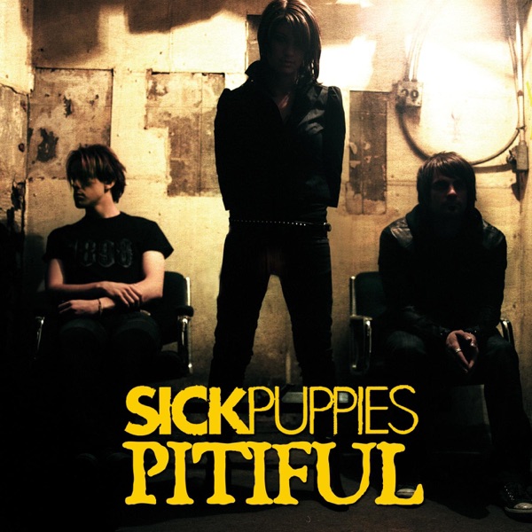 Pitiful (Radio Edit) - Single album cover