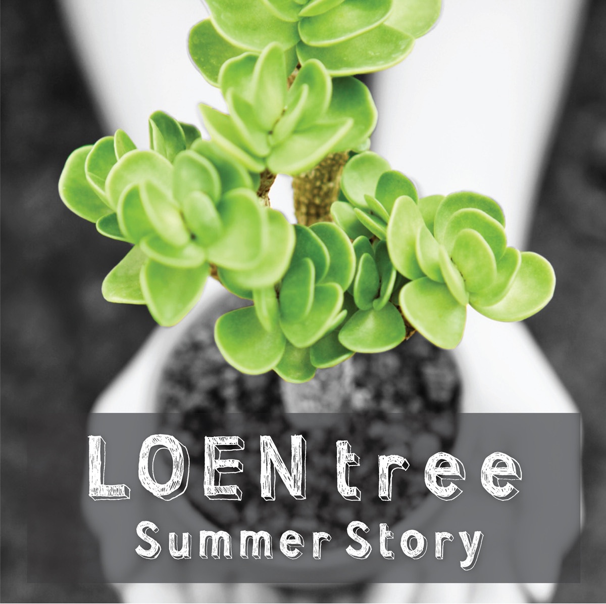 Sea of Moonlight - Loen Tree Summer Story - Single album cover