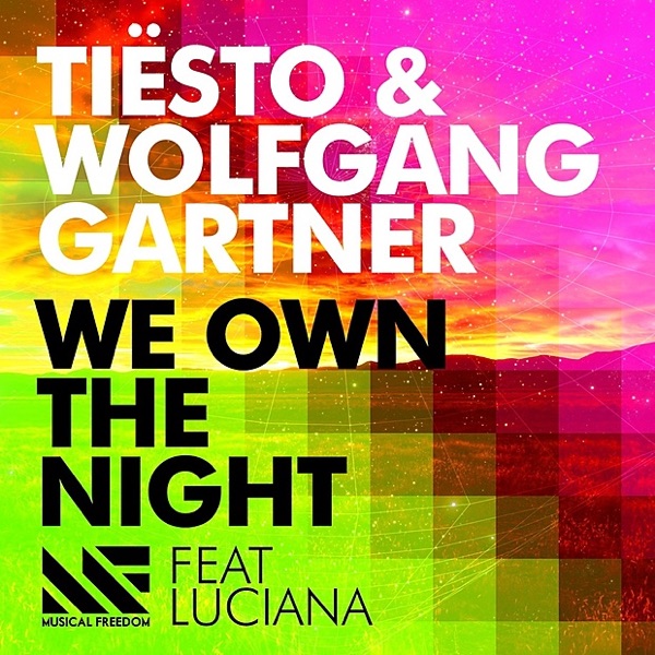 We Own the Night (feat. Luciana) [Radio Edit] - Single album cover