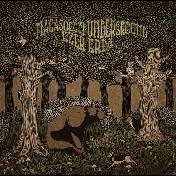 Ezer Erdő album cover