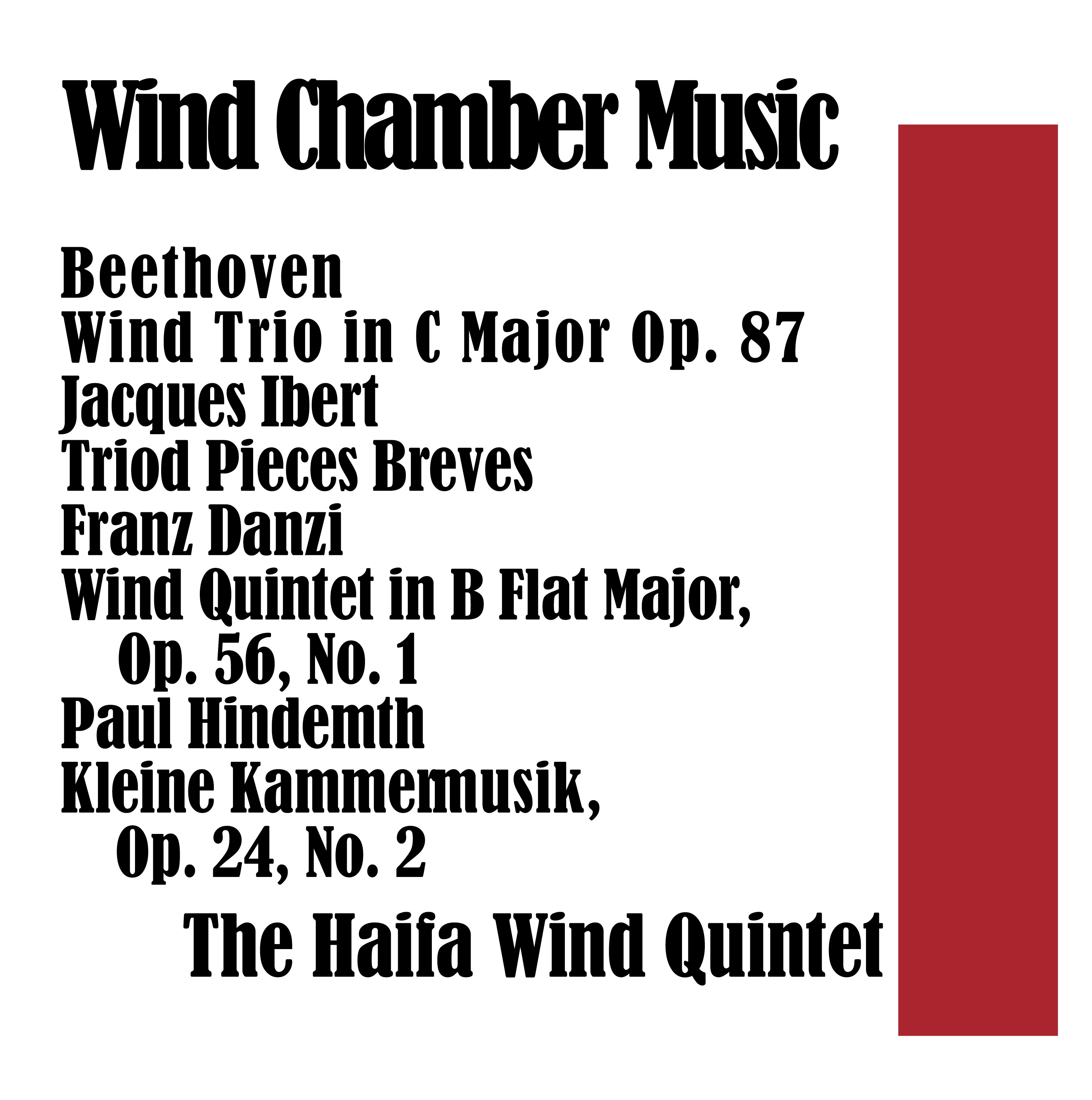 Wind Chamber Music album cover