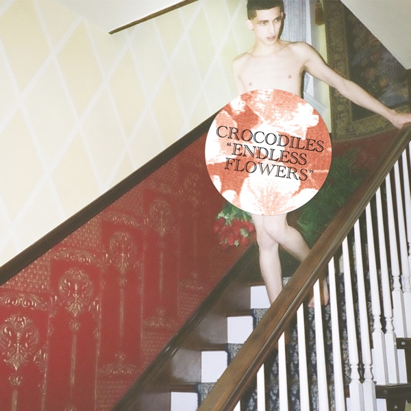 Endless Flowers album cover