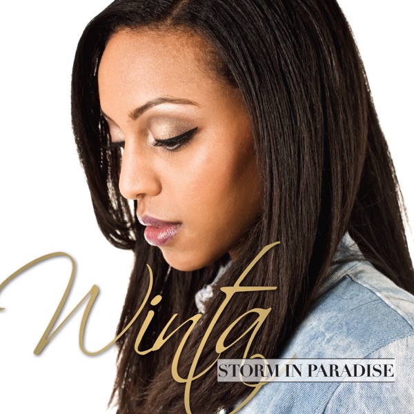 Storm In Paradise - Single album cover