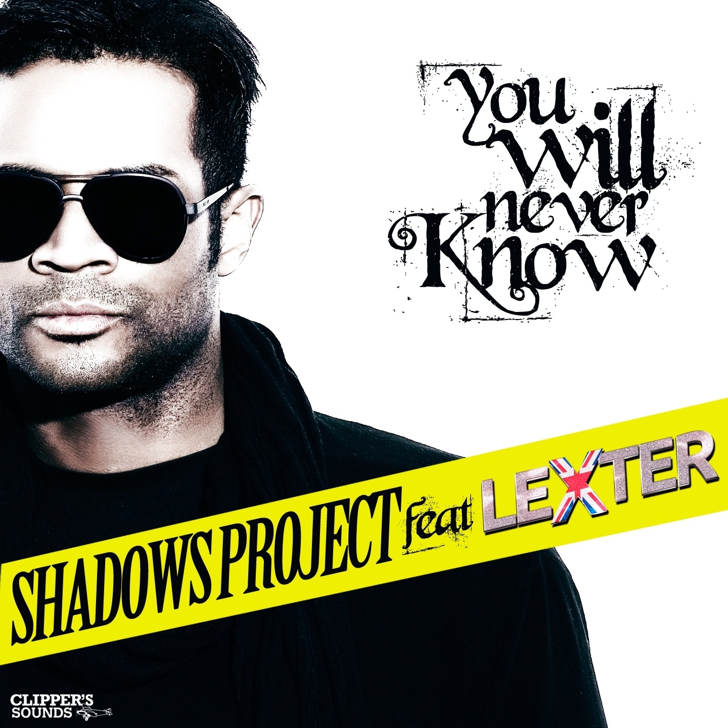You Will Never Know (feat. Lexter) - Single album cover