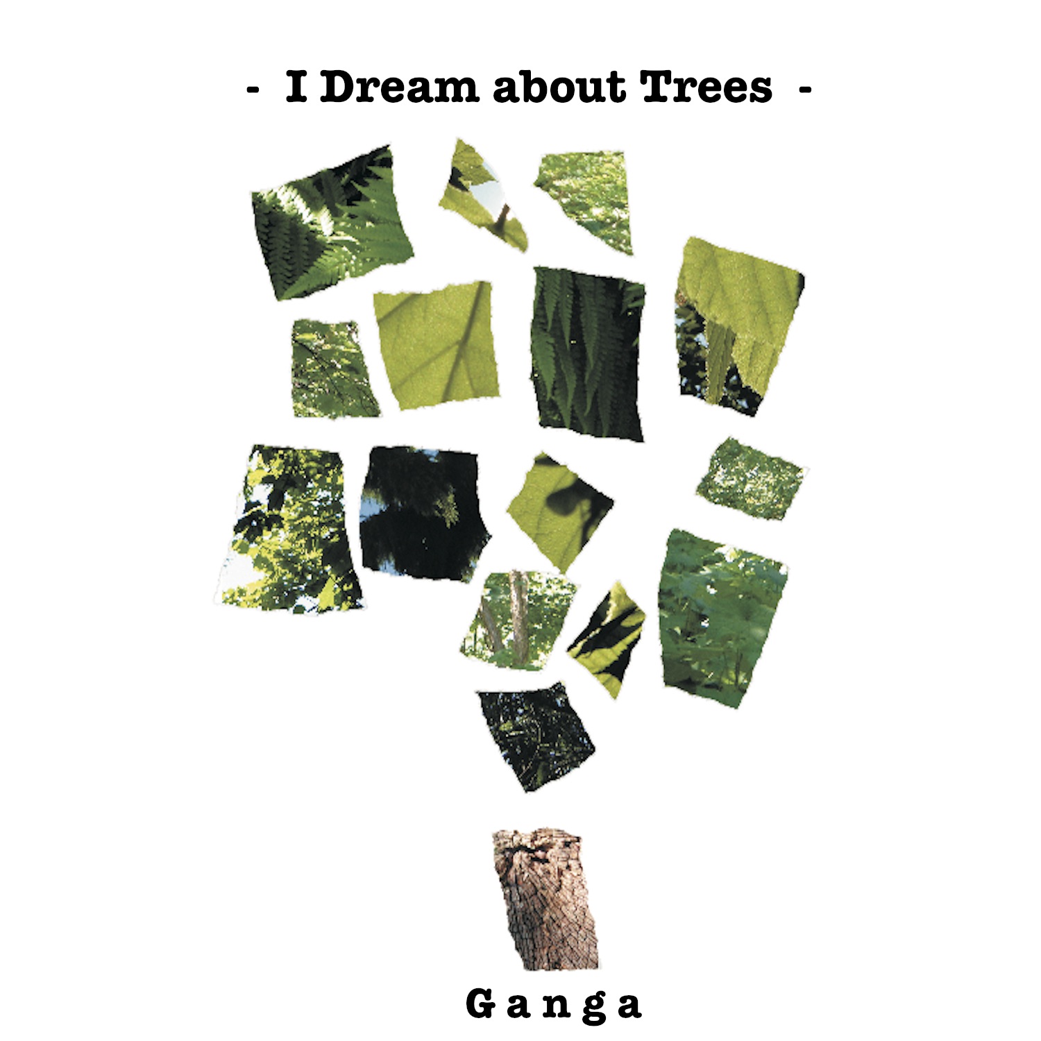 I Dream About Trees album cover