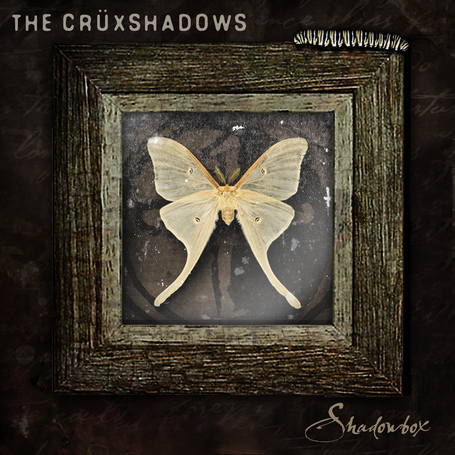 Shadowbox EP album cover