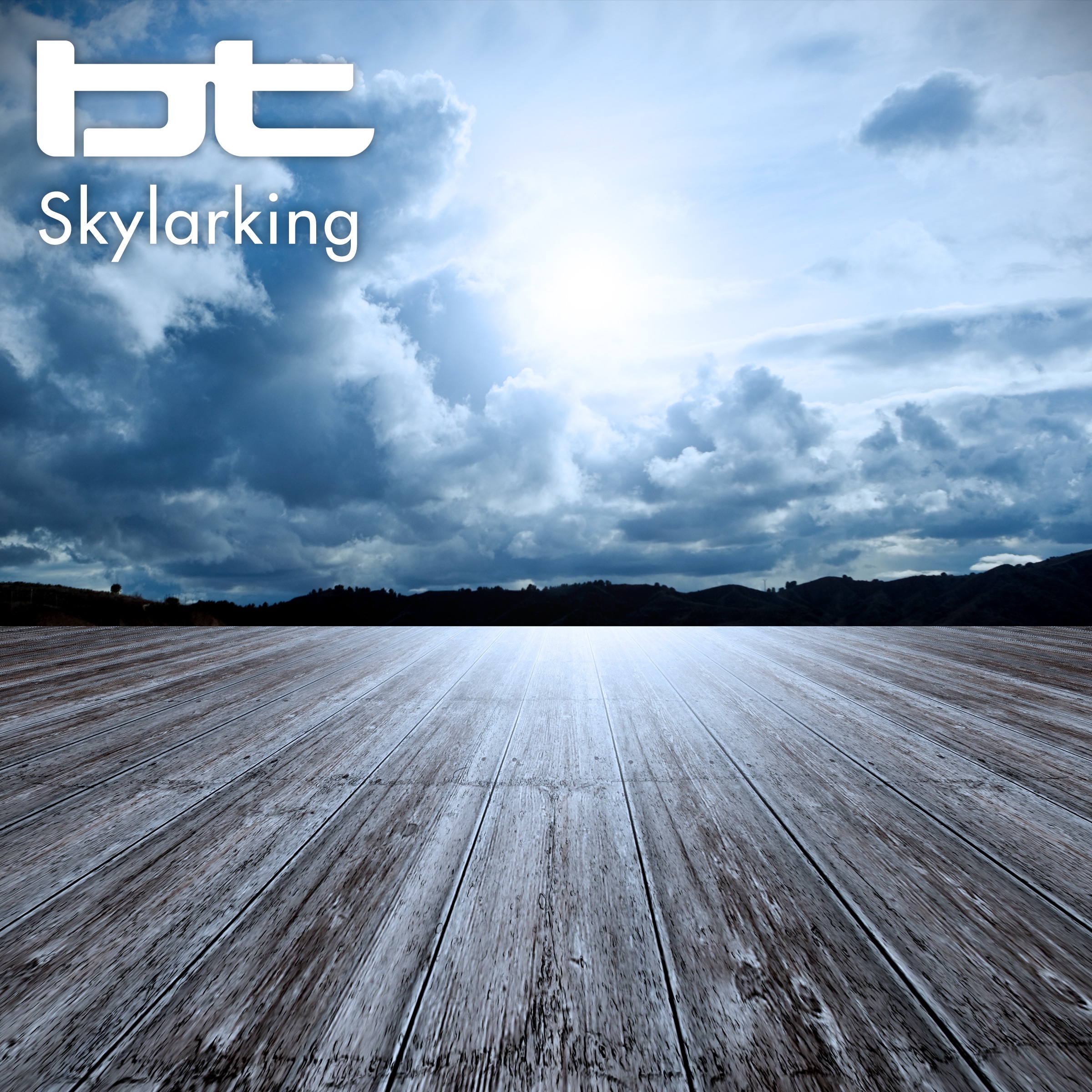 Skylarking (Radio Edit) - Single album cover