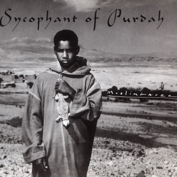 Sycophant of Purdah album cover