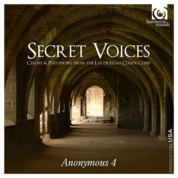 Secret Voices album cover