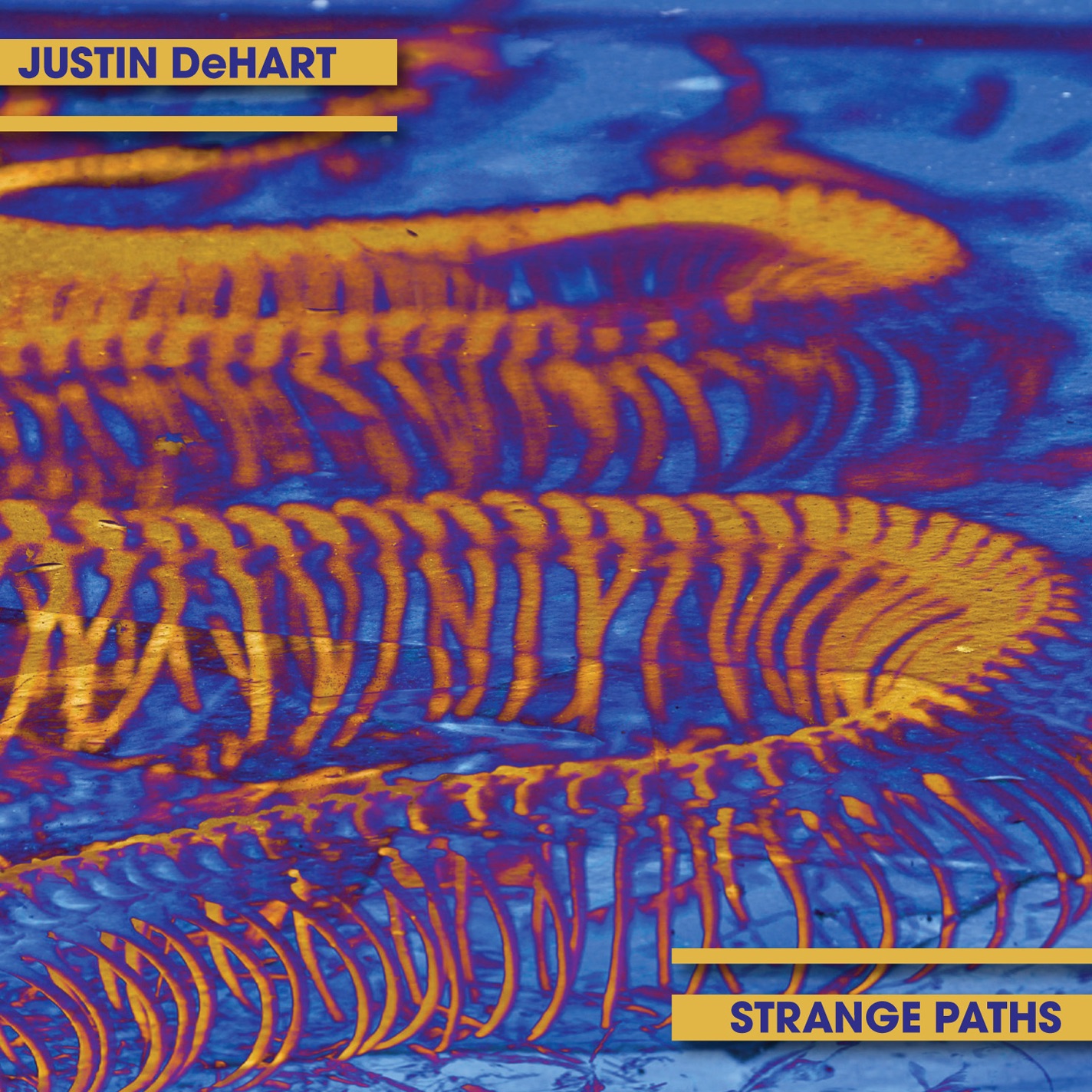 Strange Paths album cover
