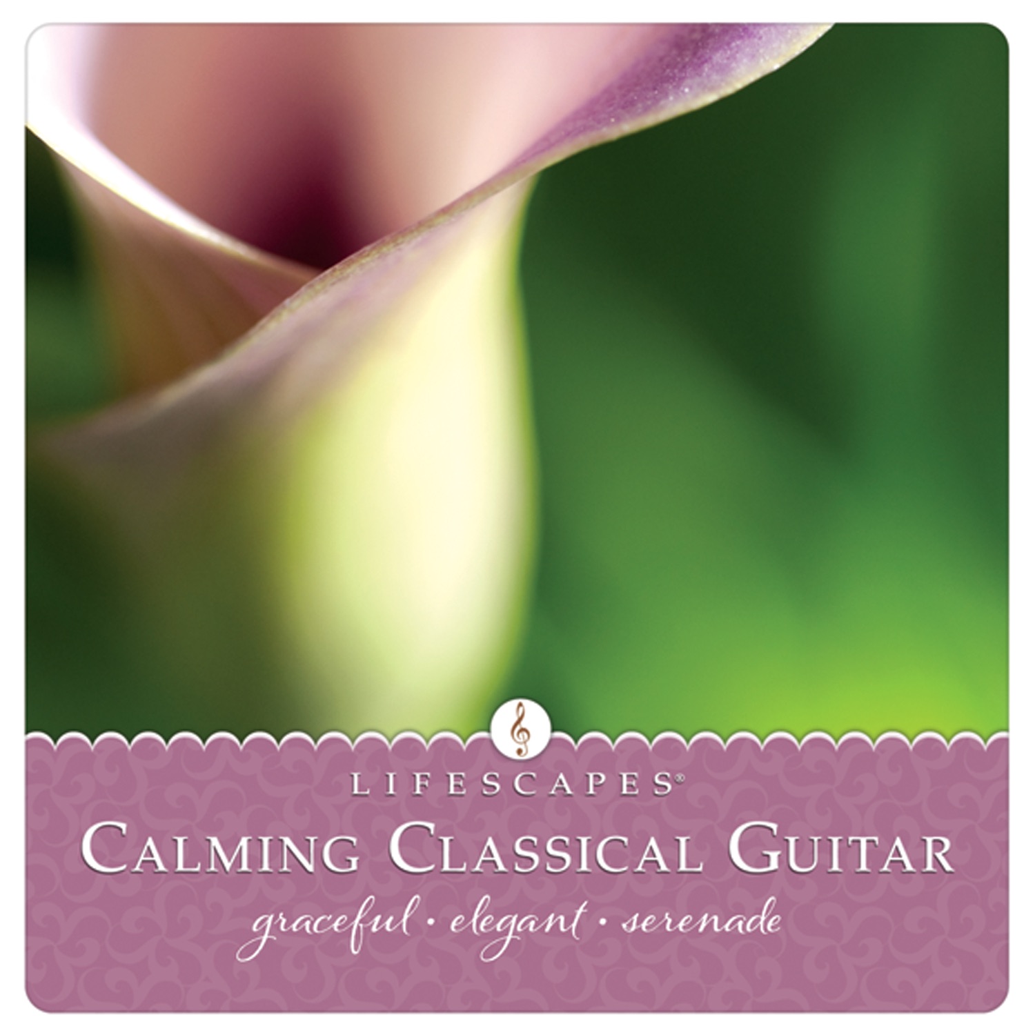Calming Classical Guitar album cover