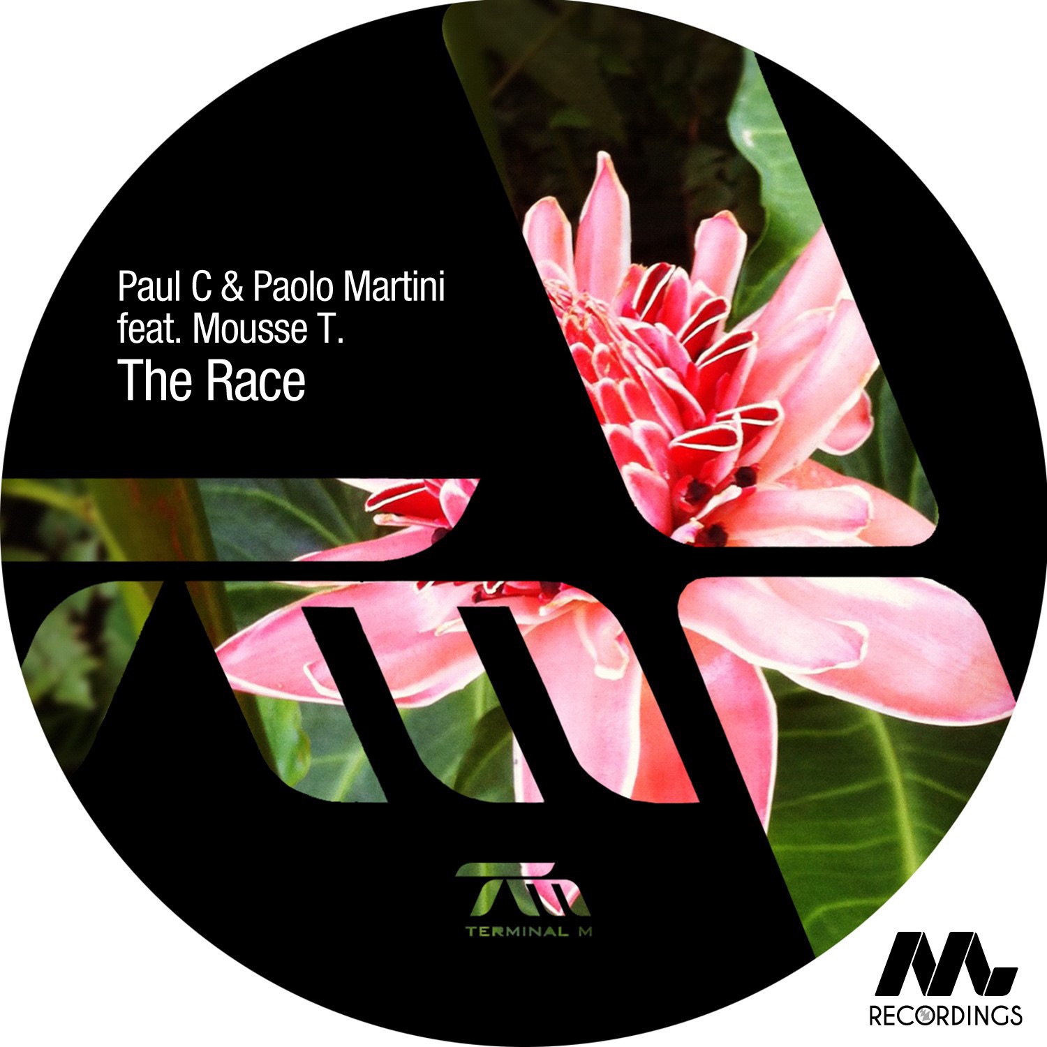 The Race (feat. Mousse T.) - Single album cover