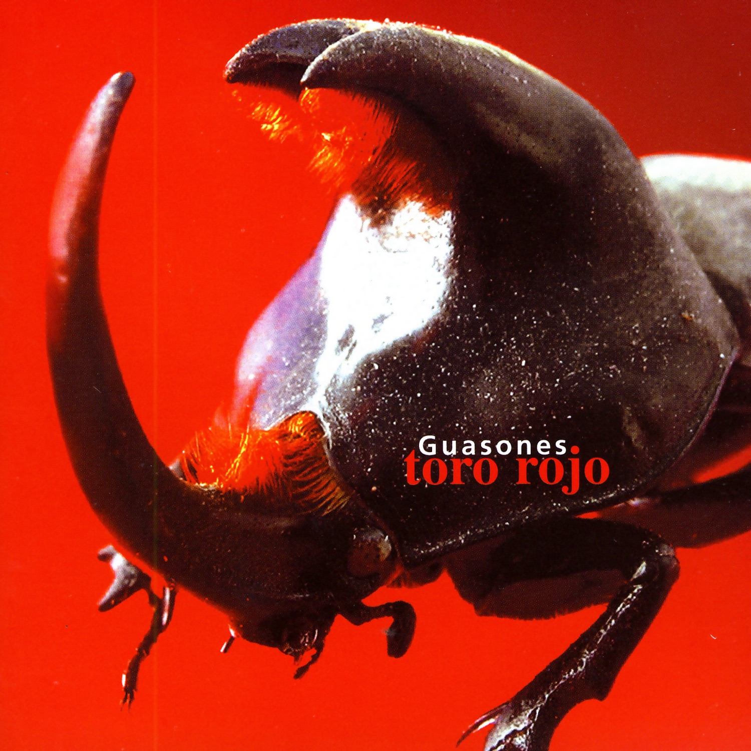 Toro Rojo album cover