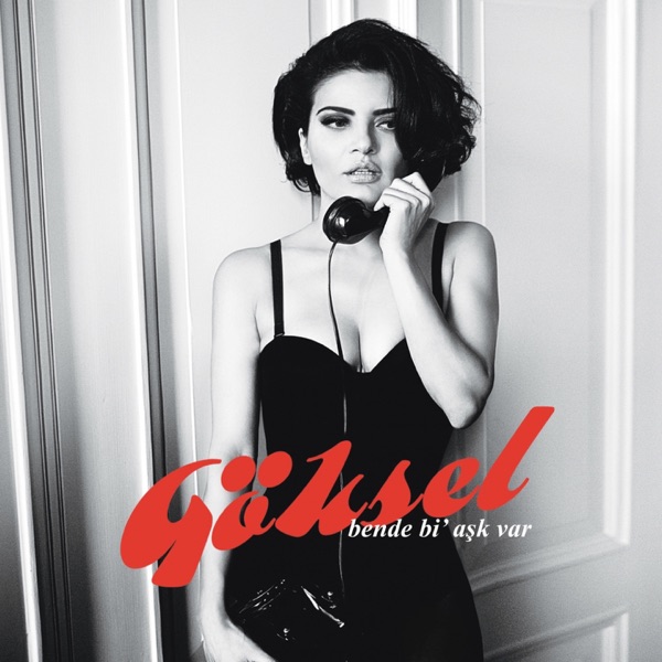 Bende Bi' Aşk Var album cover