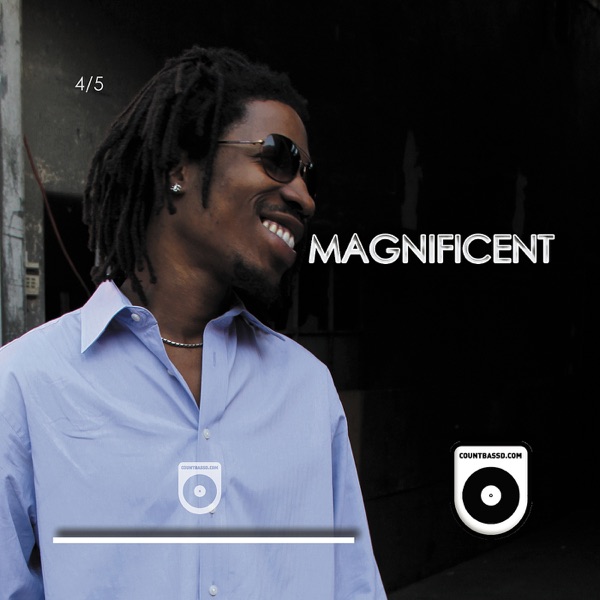 Magnificent (4 Of 5) album cover